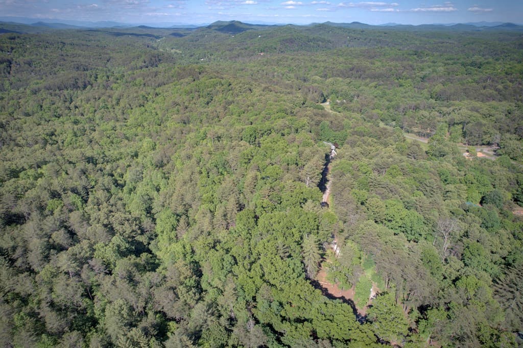 218 Bench Leg Road, Mineral Bluff GA 30559 - Photo