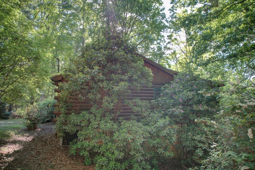 218 Bench Leg Road, Mineral Bluff GA 30559 - Photo