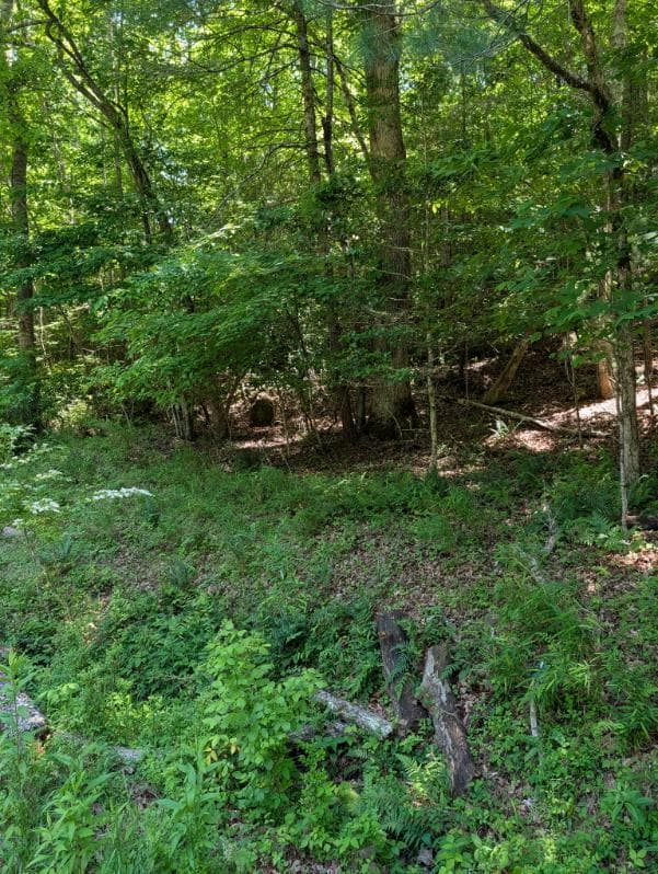 00 Talc Mine Road, Murphy NC 28906 - Primary photo