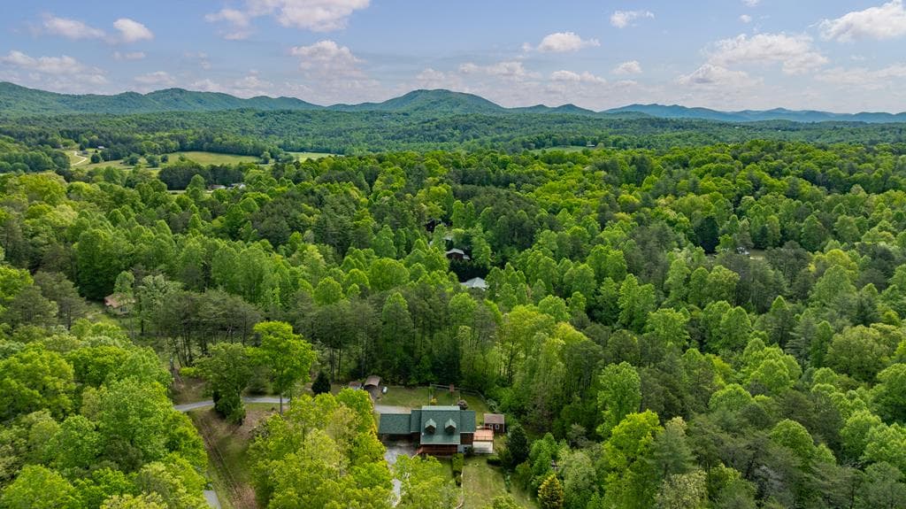 1881 E John Smith Road E, Blairsville GA 30512 - Photo