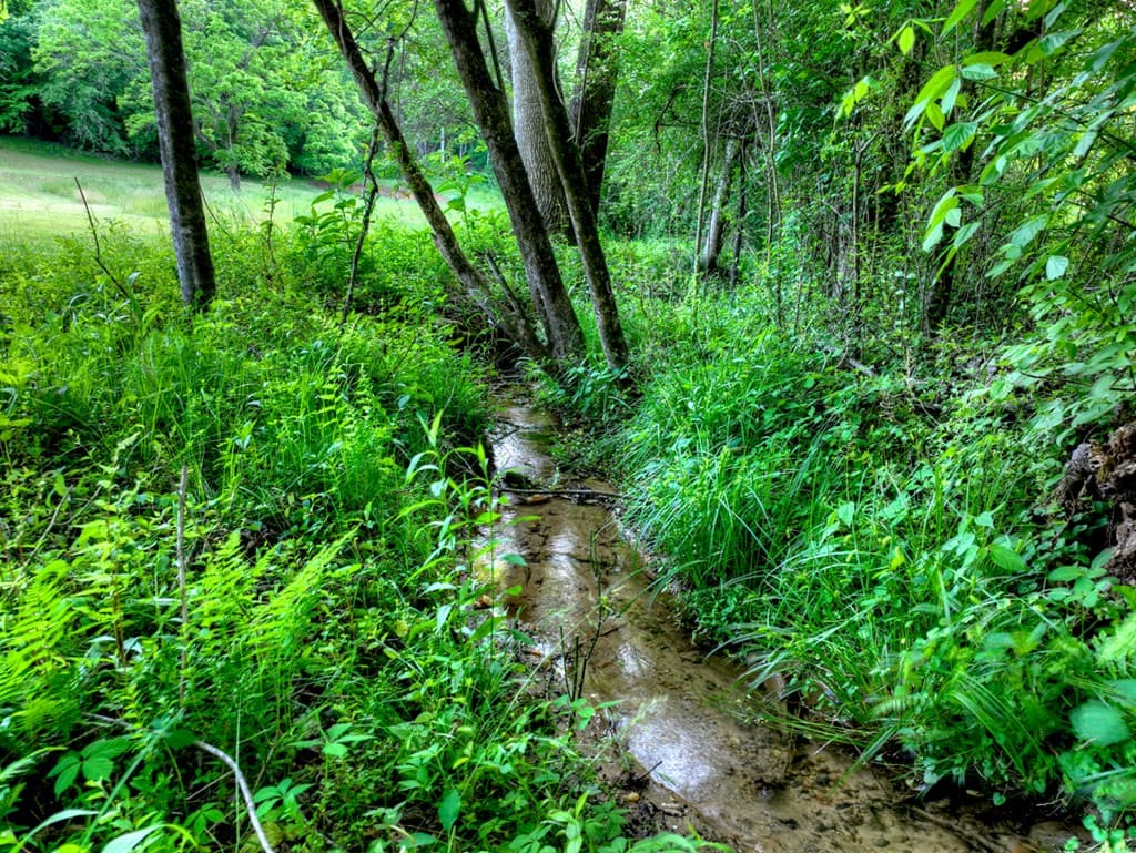 247 Craigtown Road, Ellijay GA 30540 - Photo