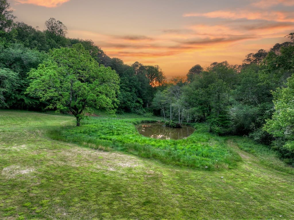 247 Craigtown Road, Ellijay GA 30540 - Photo