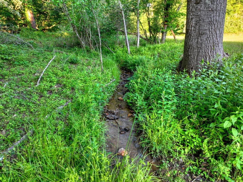 247 Craigtown Road, Ellijay GA 30540 - Photo