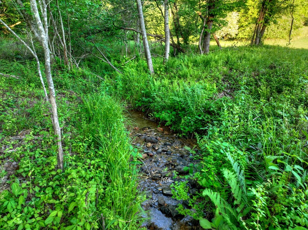 247 Craigtown Road, Ellijay GA 30540 - Photo