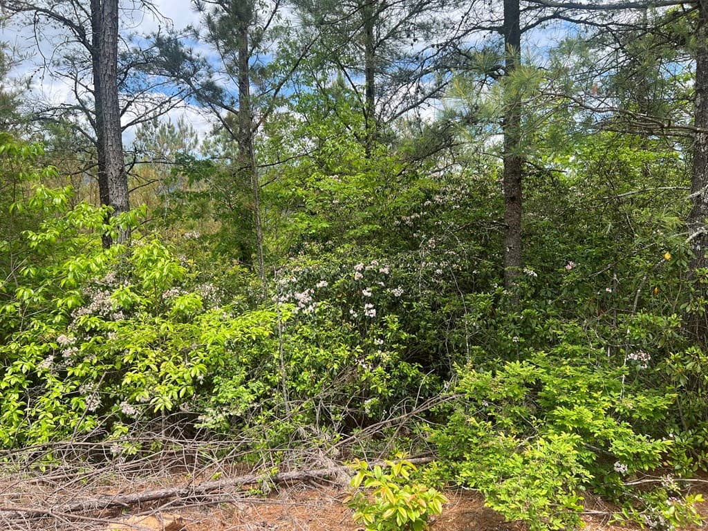 Lot 7 Skyline Drive, Turtletown TN 37391 - Photo