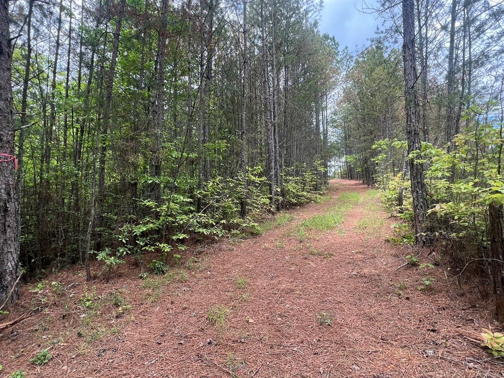 Lot 7 Skyline Drive, Turtletown TN 37391 - Photo