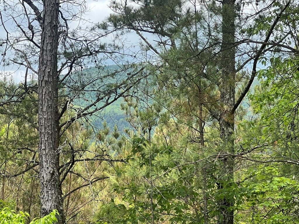 Lot 7 Skyline Drive, Turtletown TN 37391 - Photo