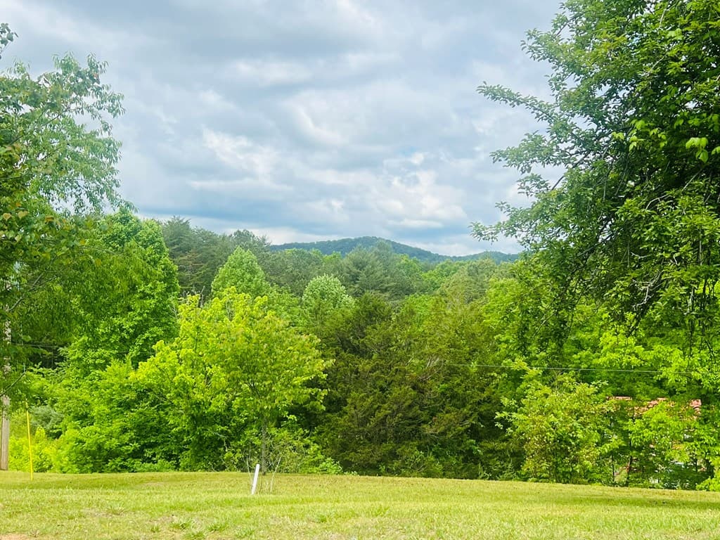 105 Lola Drive, Farner TN 37333 - Photo