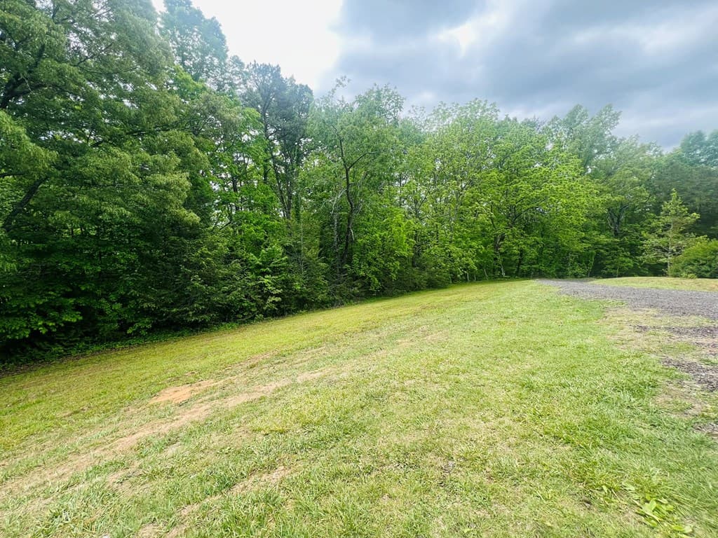 105 Lola Drive, Farner TN 37333 - Photo