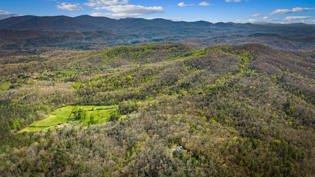 384 Maxwell Road, Blue Ridge GA 30513 - Photo