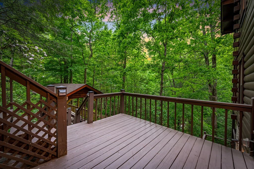 4396 W Hwy 382, Ellijay GA 30540 - Photo
