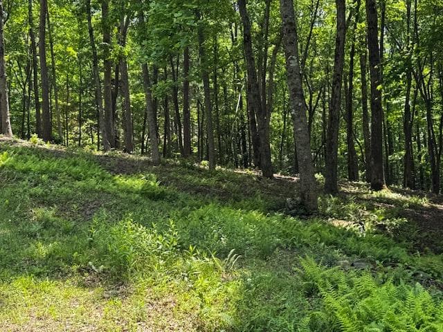 85 Cedar Road, Ellijay GA 30540 - Photo