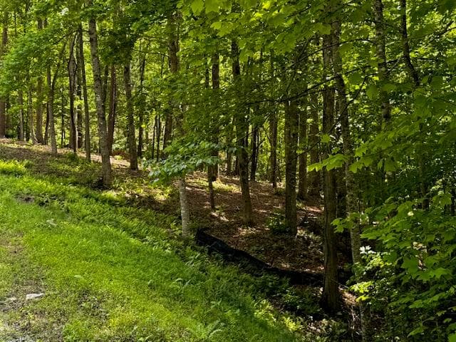 85 Cedar Road, Ellijay GA 30540 - Photo