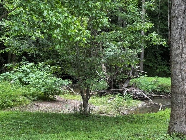 84 Cedar Road, Ellijay GA 30540 - Photo