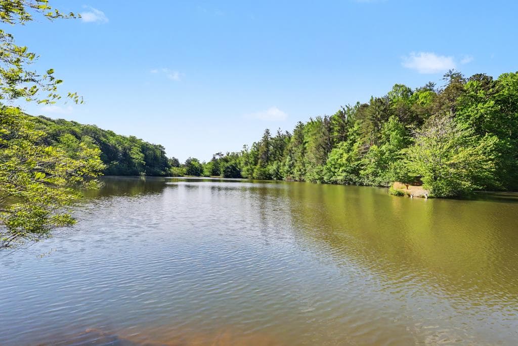 519 Pinecrest Road, Sautee Nacoochee GA 30571 - Photo