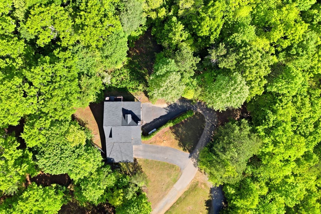 303 Pine Forest Loop, Blue Ridge GA 30513 - Photo