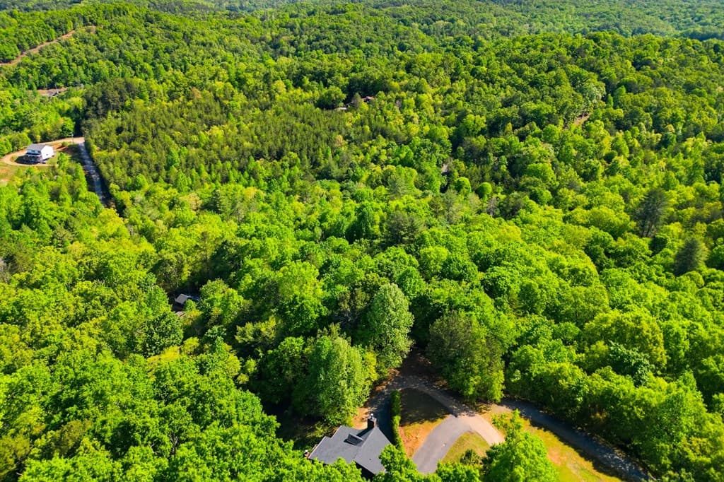 303 Pine Forest Loop, Blue Ridge GA 30513 - Photo