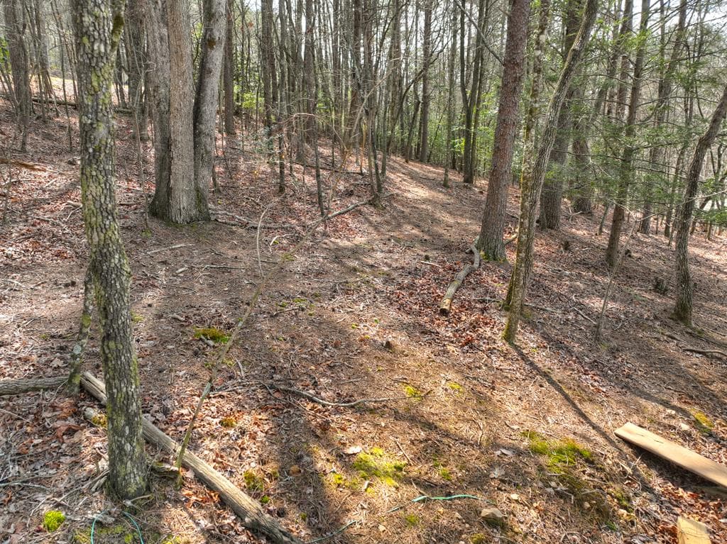 11.32 AC Indian Trace, Mineral Bluff GA 30559 - Photo