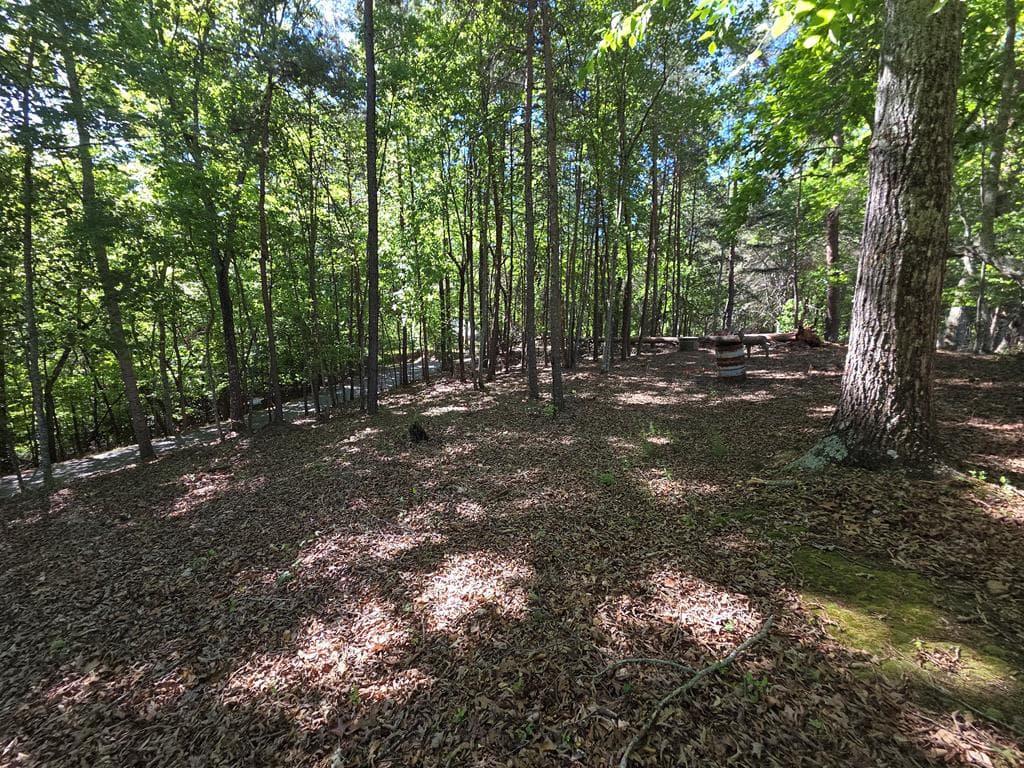 854 Rizzitello Lane, Blairsville GA 30512 - Photo