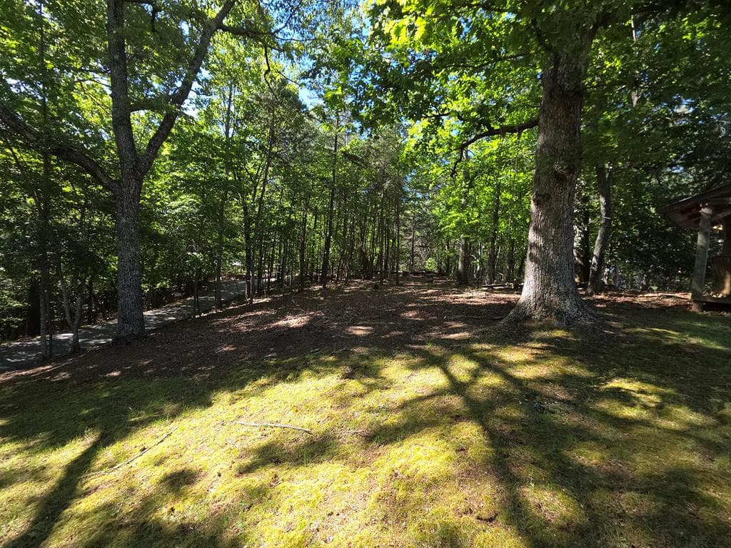 854 Rizzitello Lane, Blairsville GA 30512 - Photo