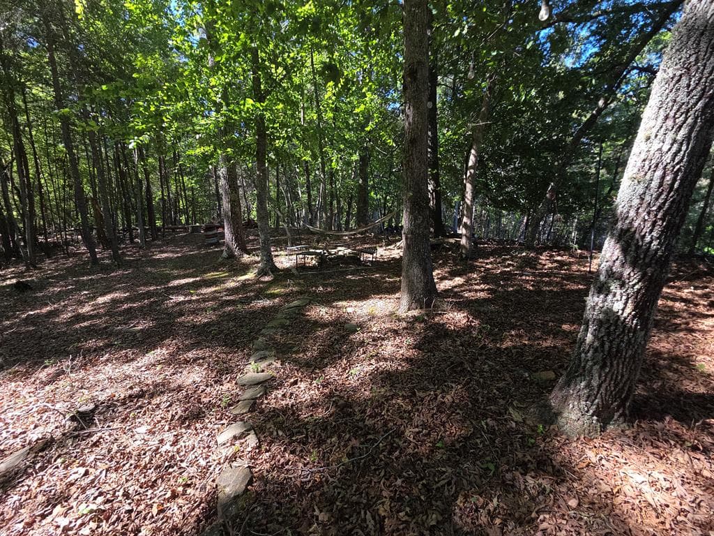 854 Rizzitello Lane, Blairsville GA 30512 - Photo
