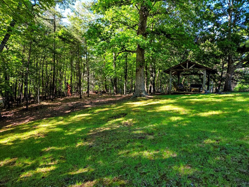 854 Rizzitello Lane, Blairsville GA 30512 - Photo