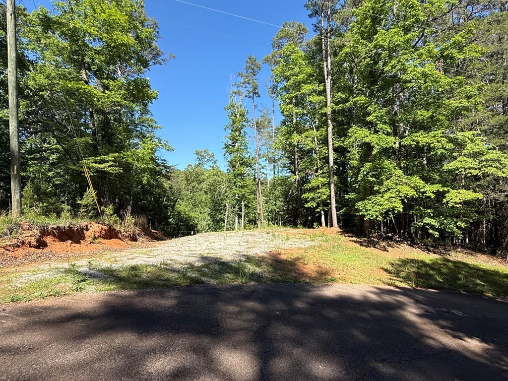 0 Limber Lost Trail, Cleveland GA 30528 - Photo
