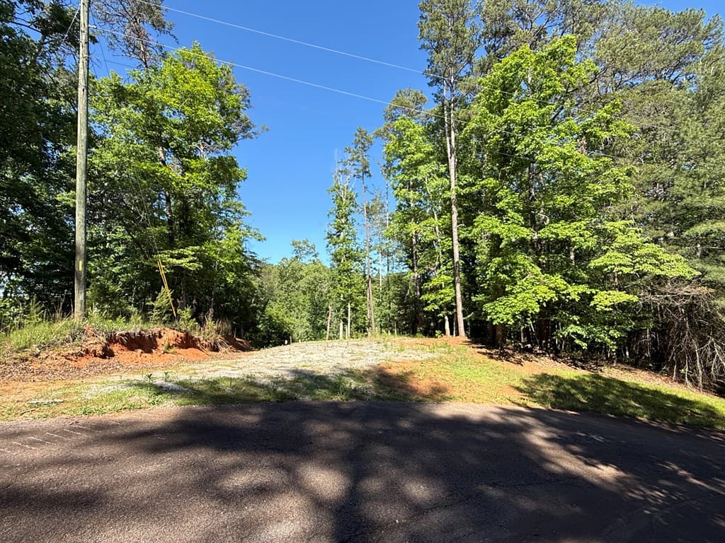 0 Limber Lost Trail, Cleveland GA 30528 - Photo