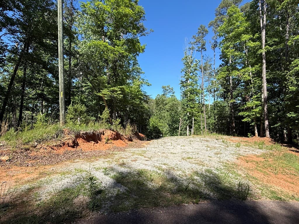 0 Limber Lost Trail, Cleveland GA 30528 - Photo