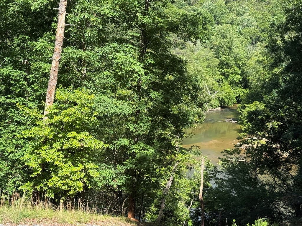 0 Limber Lost Trail, Cleveland GA 30528 - Photo