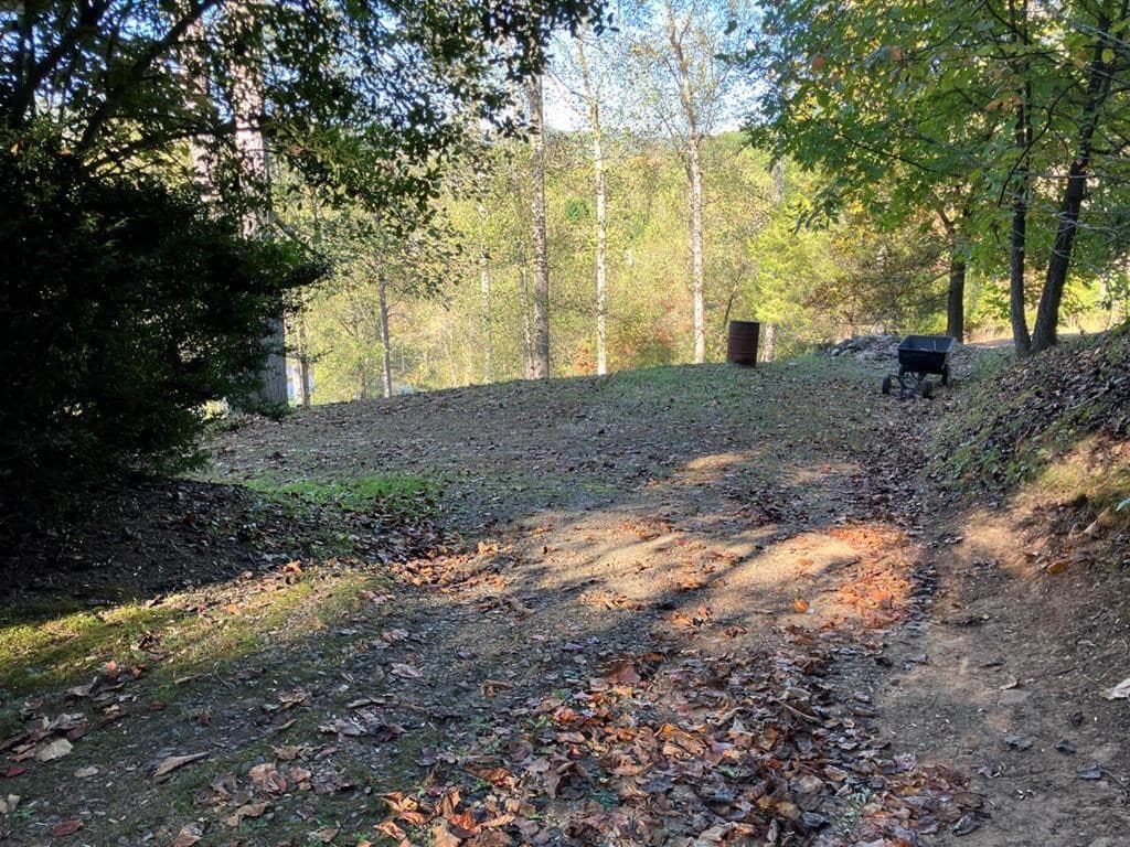 121 White Oak Drive, Warne NC 28909 - Photo