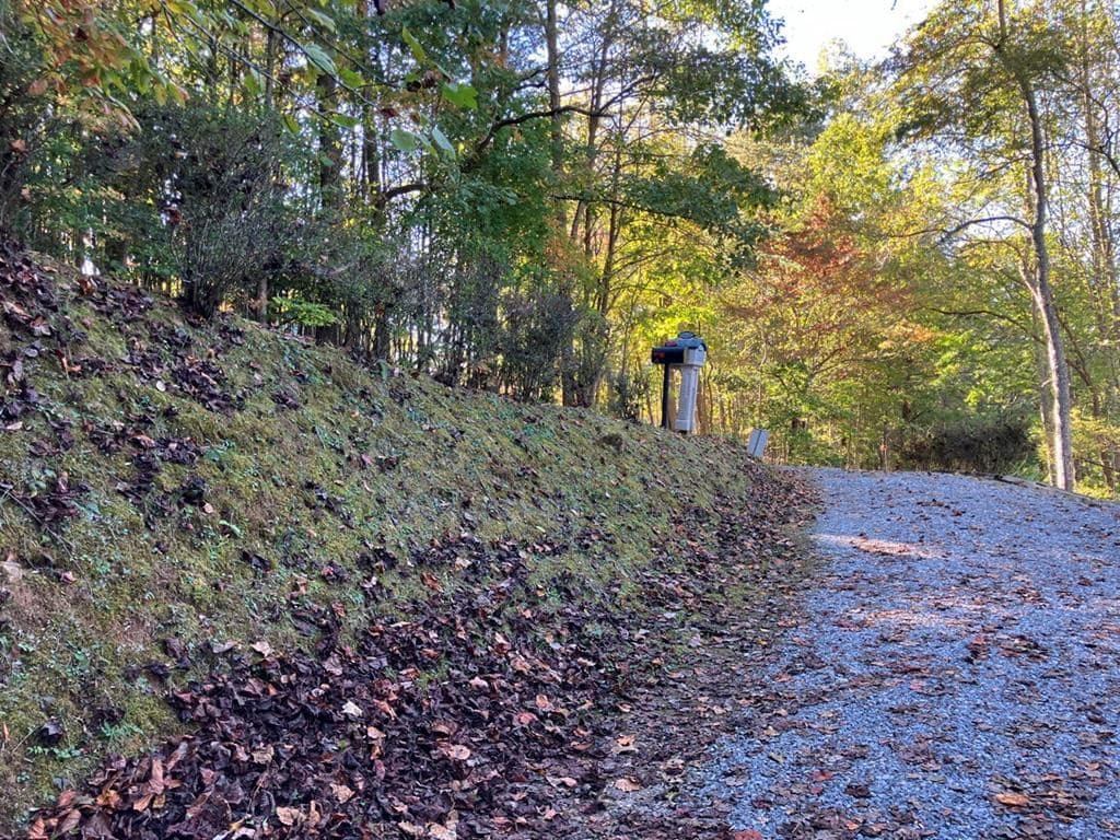 121 White Oak Drive, Warne NC 28909 - Photo