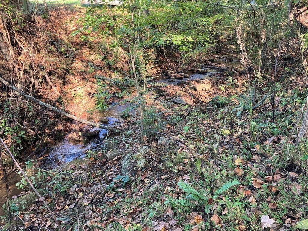 121 White Oak Drive, Warne NC 28909 - Photo