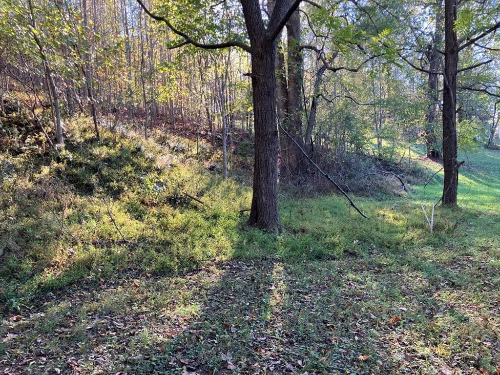 121 White Oak Drive, Warne NC 28909 - Photo