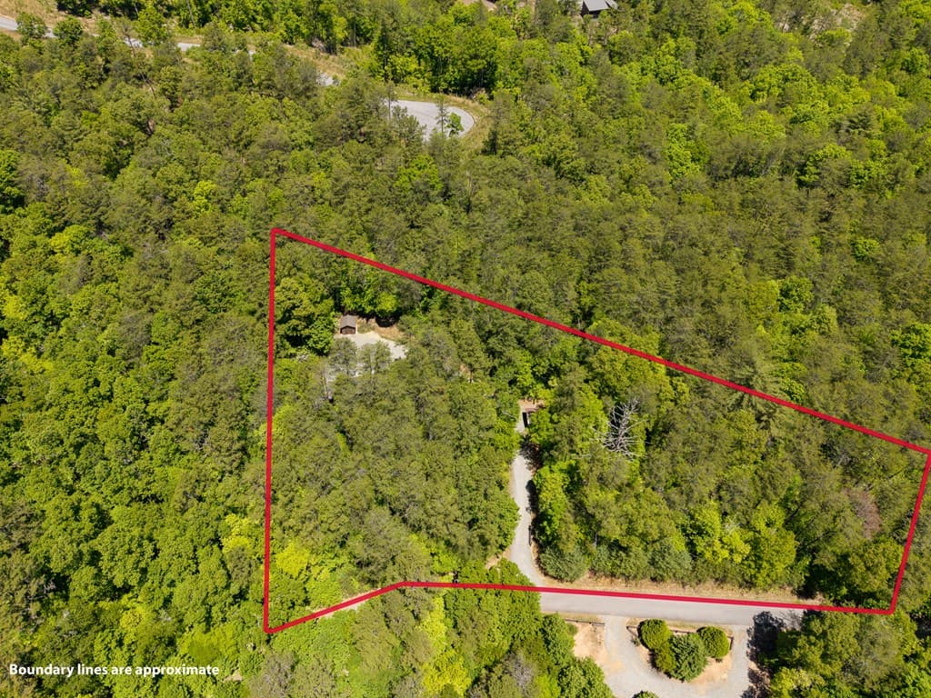 284 The Woods Road, Mineral Bluff GA 30559 - Photo