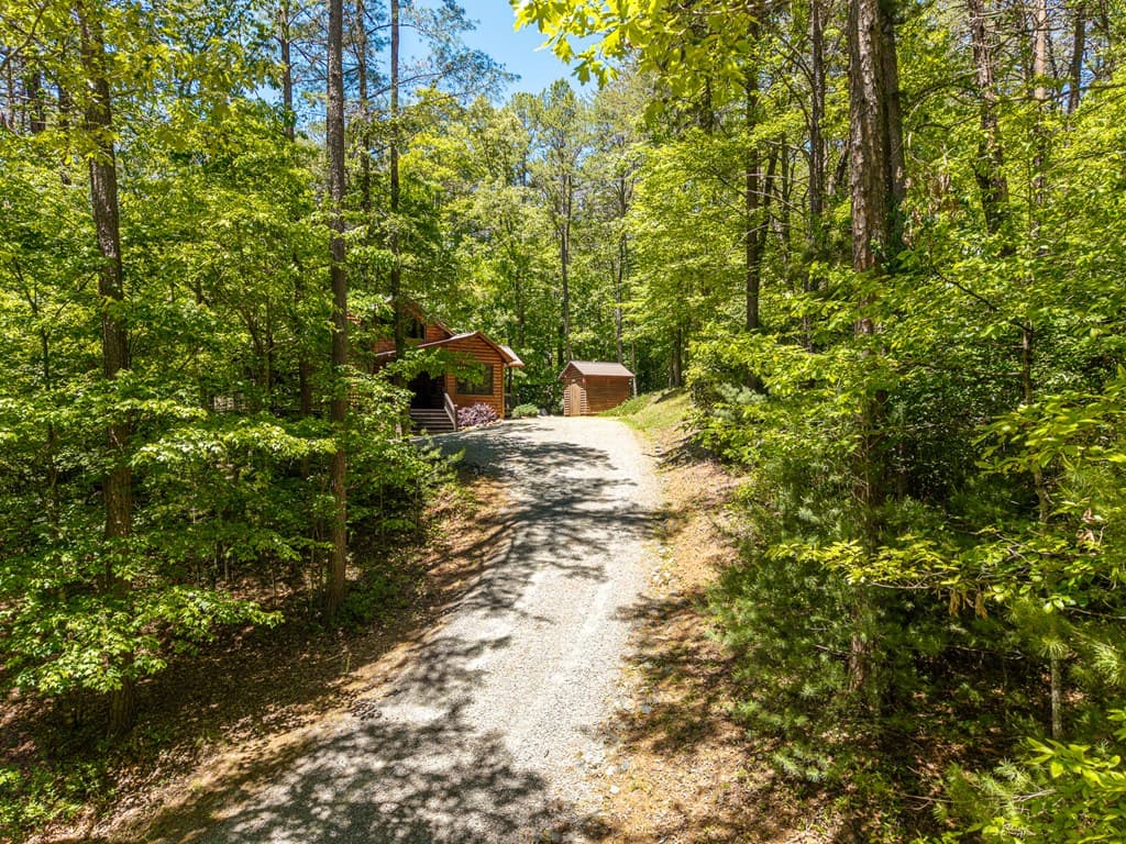 284 The Woods Road, Mineral Bluff GA 30559 - Photo