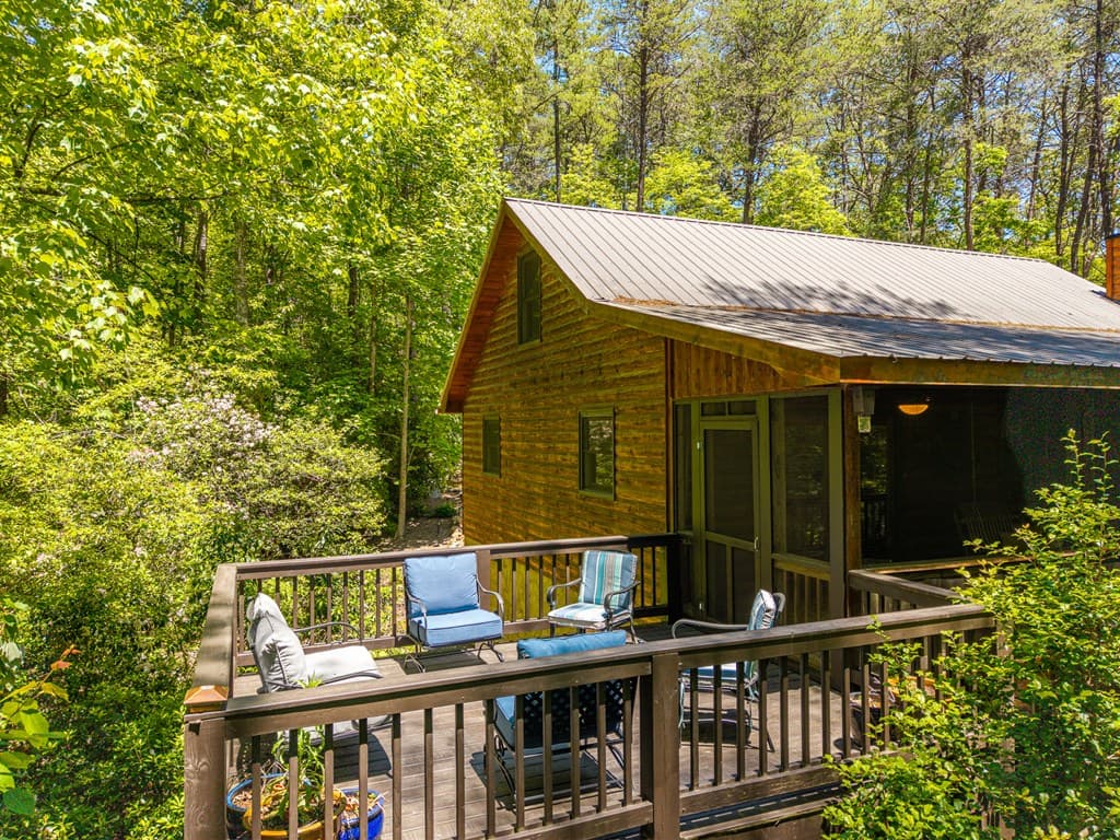 284 The Woods Road, Mineral Bluff GA 30559 - Photo