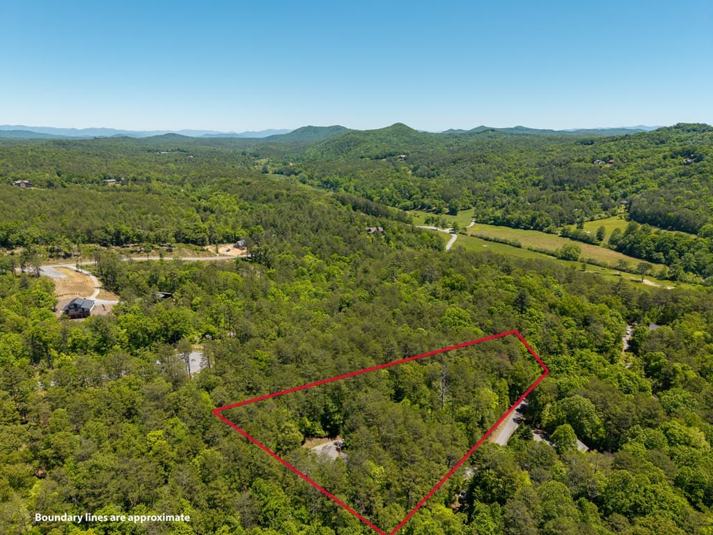 284 The Woods Road, Mineral Bluff GA 30559 - Photo