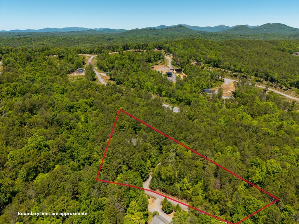 284 The Woods Road, Mineral Bluff GA 30559 - Photo