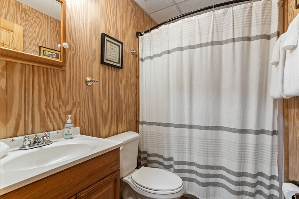 294 Oakwood Trail, Mineral Bluff GA 30559 - Photo