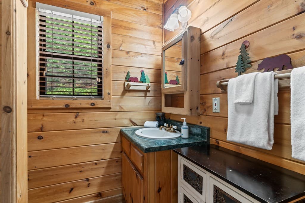 294 Oakwood Trail, Mineral Bluff GA 30559 - Photo