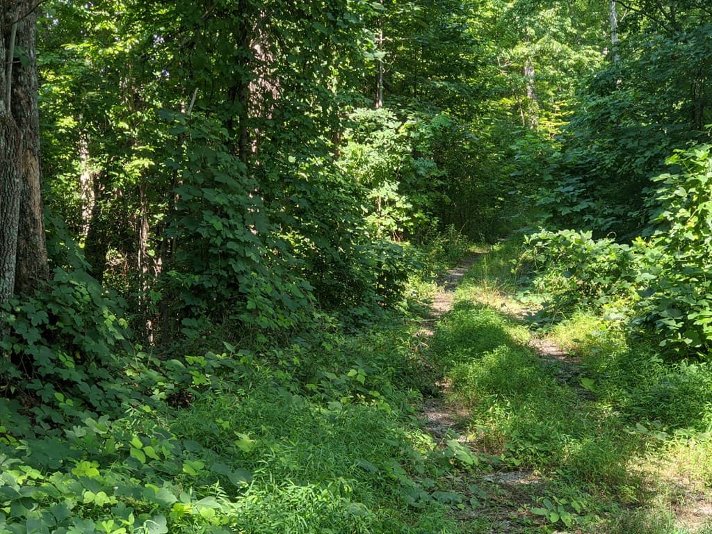 000 Town Mountain Road, Hayesville NC 28906 - Photo