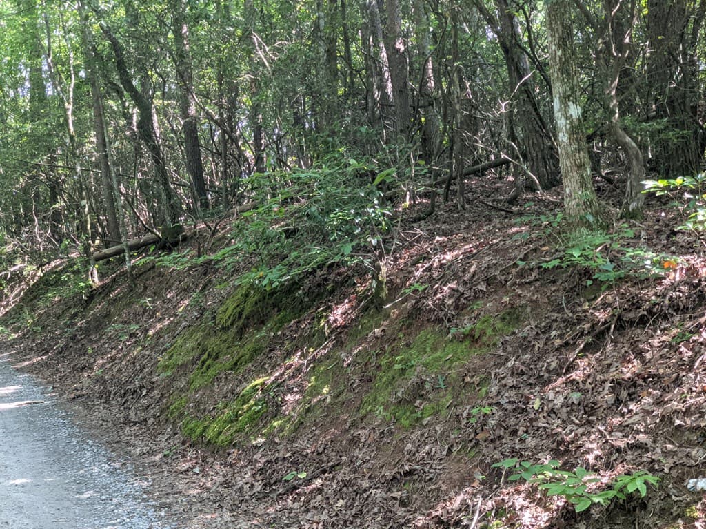 000 Town Mountain Road, Hayesville NC 28906 - Photo