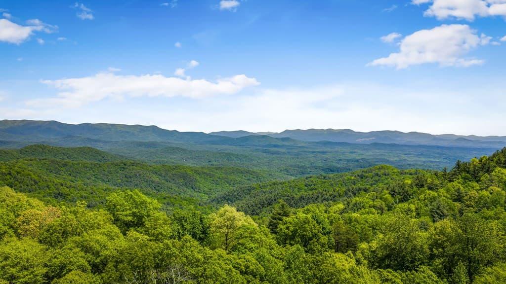 10620 Highway 52, Chatsworth GA 30705 - Photo