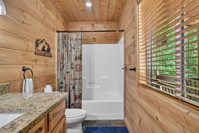 565 Catawba Circle, Ellijay GA 30540 - Photo