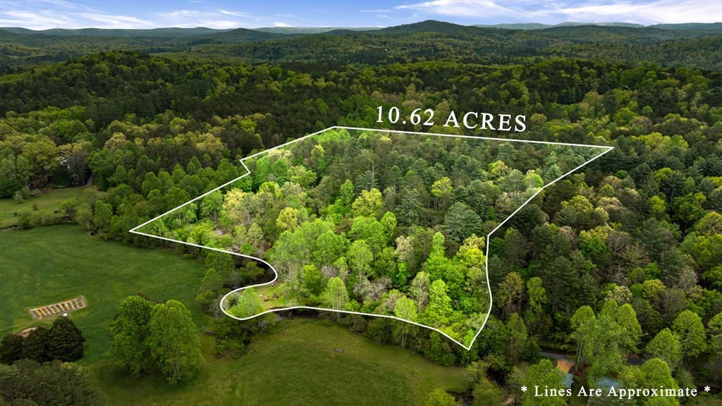 390 Sunny Brook Road, Blue Ridge GA 30513 - Photo