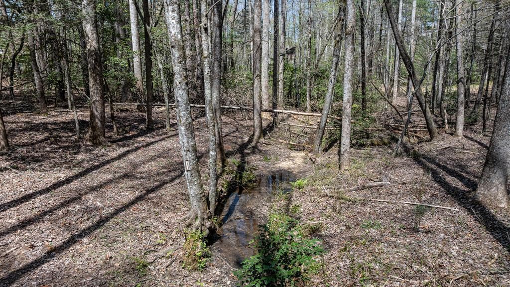 390 Sunny Brook Road, Blue Ridge GA 30513 - Photo