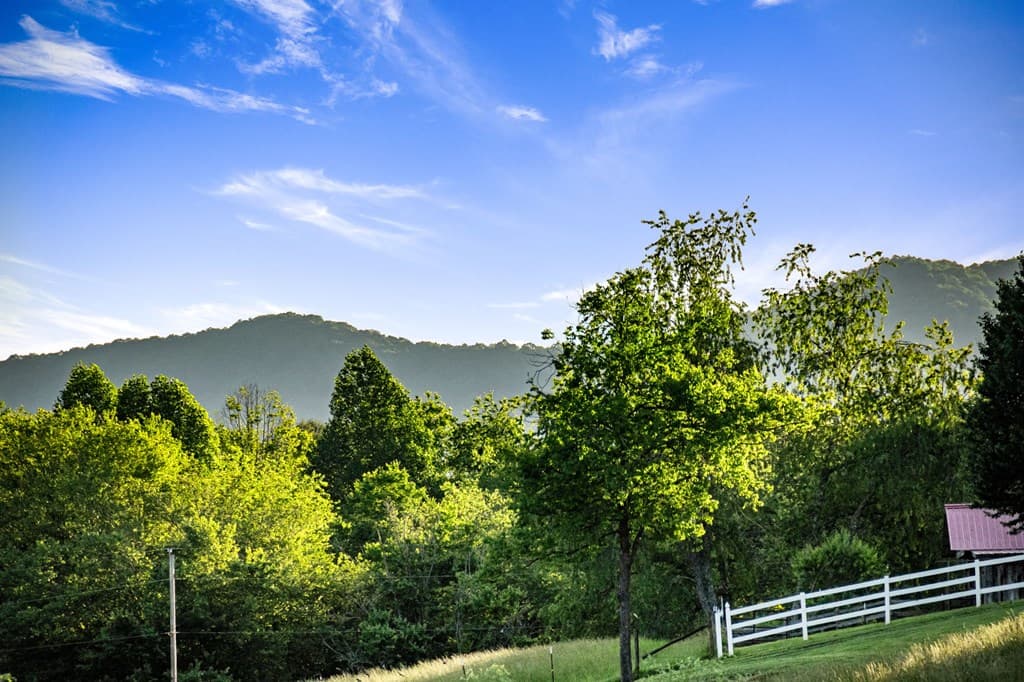 390 Sunny Brook Road, Blue Ridge GA 30513 - Photo