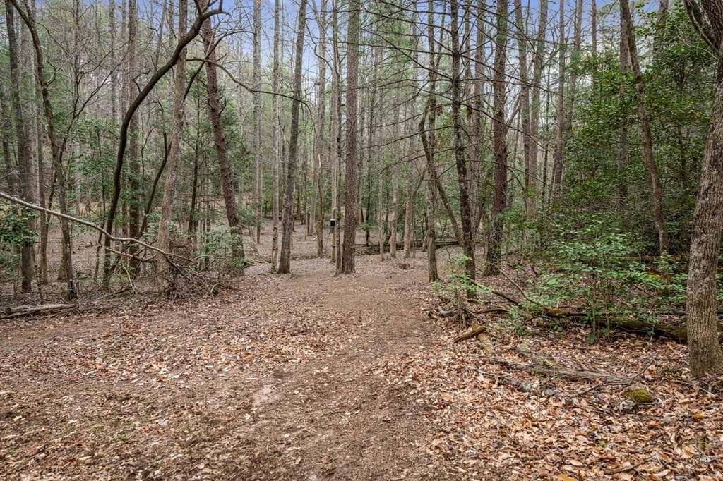 390 Sunny Brook Road, Blue Ridge GA 30513 - Photo