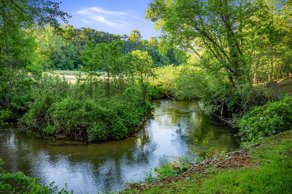 390 Sunny Brook Road, Blue Ridge GA 30513 - Photo